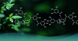 Органик химийн хөгжил