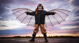 Хүн төрөлхтөн агаарын орон зайг хэрхэн байлдан дагуулсан бэ?