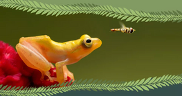 Сээр нуруутан уу, сээр нуруугүйтэн үү?