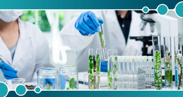 Урвуу осмос