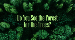 Do You See the Forest for the Trees?
