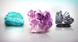 Эрдэс: бидний амьдралын идэвхтэй оролцогчид