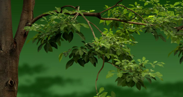 Mekkora hűtő hatása van egy fának?