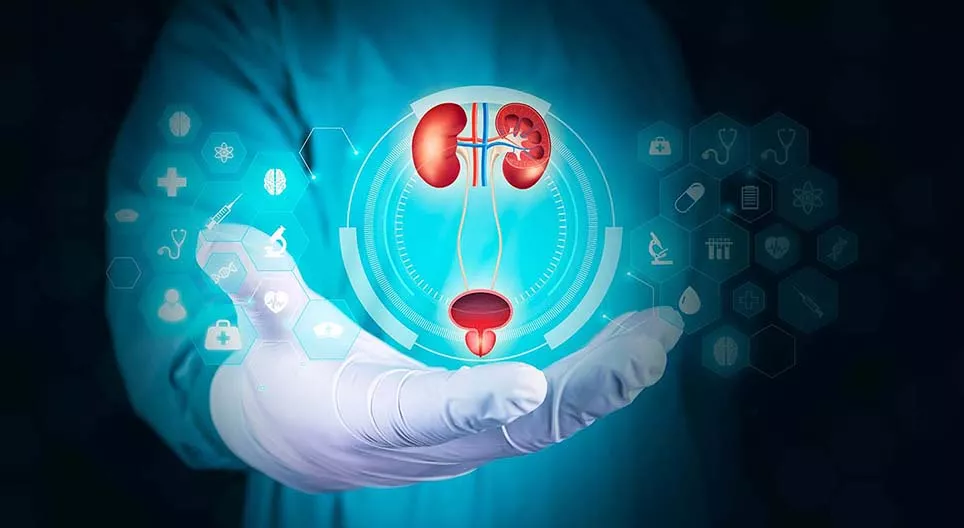 Хүний ялгаруулах систем