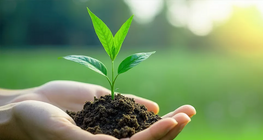 Амьдрал хаанаас эхэлдэг?