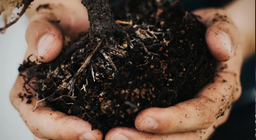 Хөрс хэрхэн үүсдэг вэ?