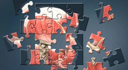 Хүн хэрхэн бүтдэг вэ?