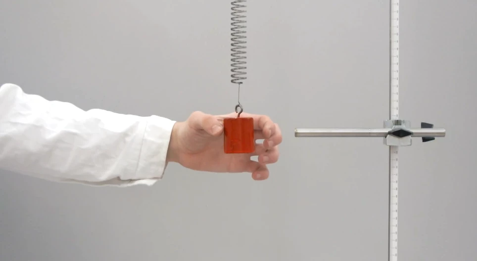 The motion of an object on a spring (basic)