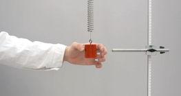 The motion of an object on a spring (basic)