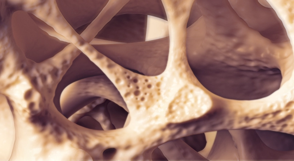 Biomechanical behaviour of the bone tissue