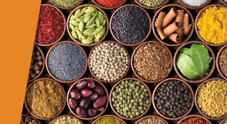 Таны хэлэн дээрх мянган амт