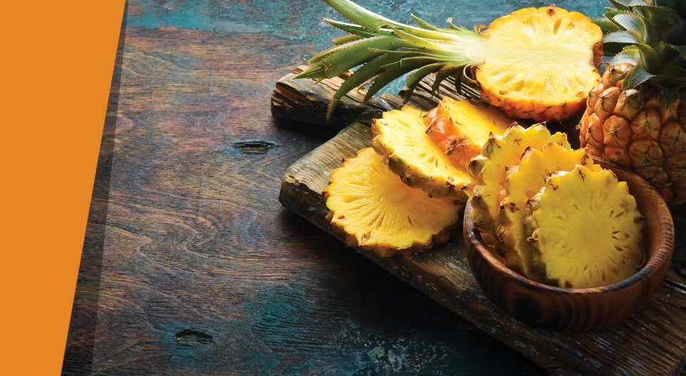 ХОМХОЙ ХАН БОРГОЦОЙ