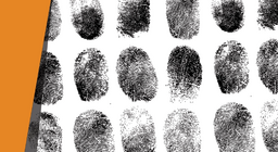 Хэн үүнийг хийсэн бэ?