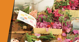 Ургамлан будаг