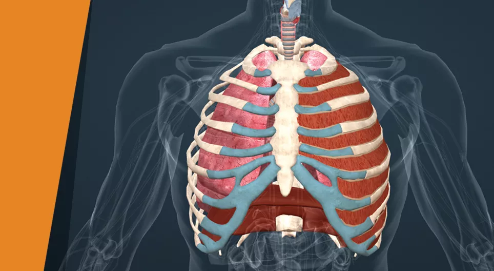 Гүнзгий амьсгаа аваарай