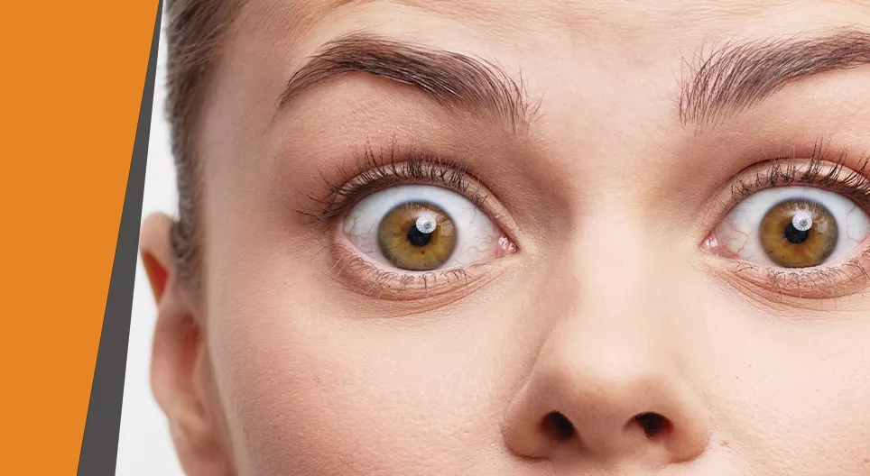 Харсан зүйлдээ битгий итгээрэй