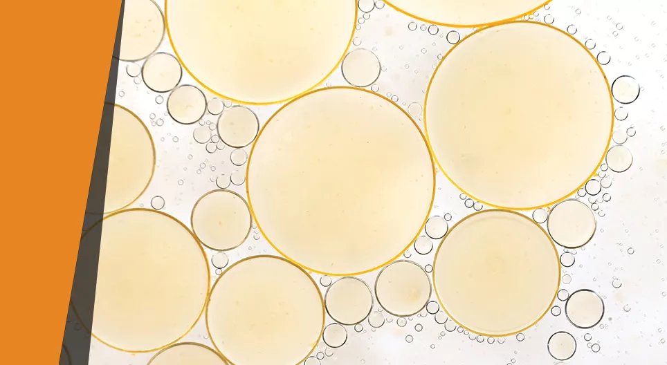 Өөх тос алга болсон