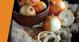 Нуугдсан талстууд