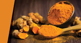 Ичимхий будаг