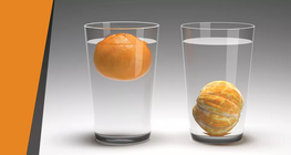 Хөвдөг жүрж