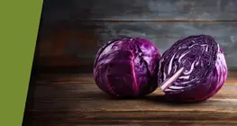 Олон өнгөт ягаан байцаа
