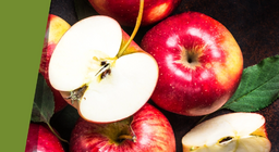 Сүүдэрт "биеэ шарахуй" 