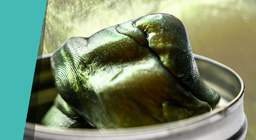 Зөөлөн шавар уу, ухаантай шавар уу?