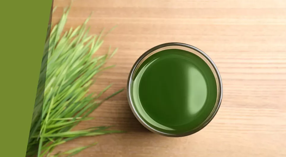 Өвсний шөлний нууц