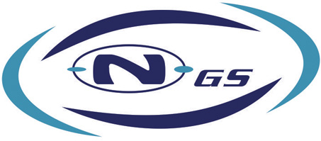 Next Generation Systems Nigeria Limited